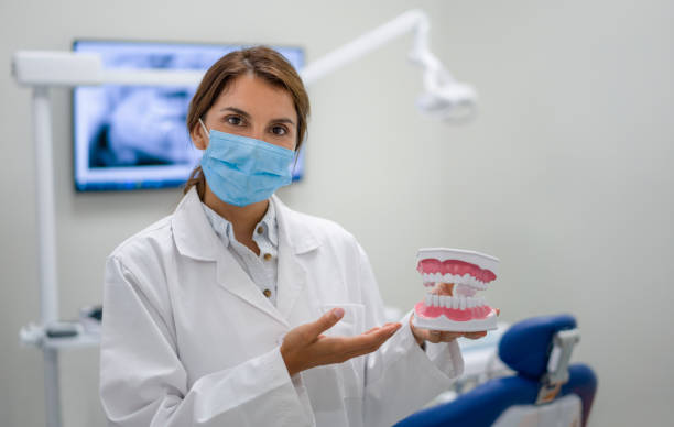 Best Knocked-Out Tooth (Avulsed Tooth) Treatment in Apollo Beach, FL